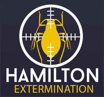 Hamilton Extermination - Hamilton, ON L9C 5L5 - (289)408-9960 | ShowMeLocal.com